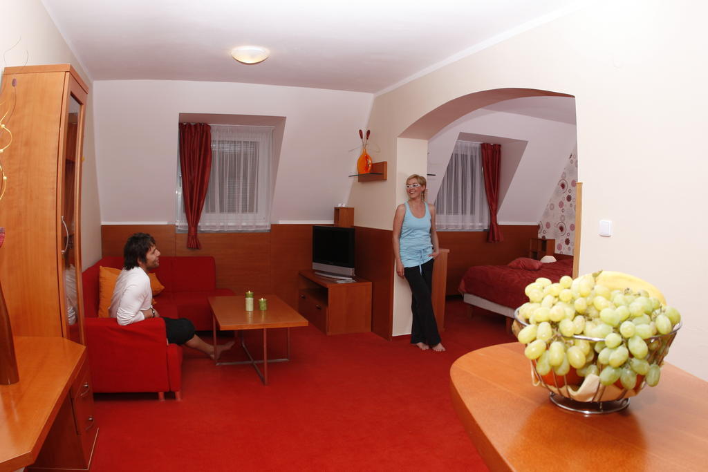 Wellness Hotel Diana Velké Losiny Oda fotoğraf